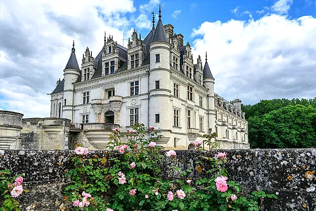 Château de Chenonceau seen over a wall of pink roses